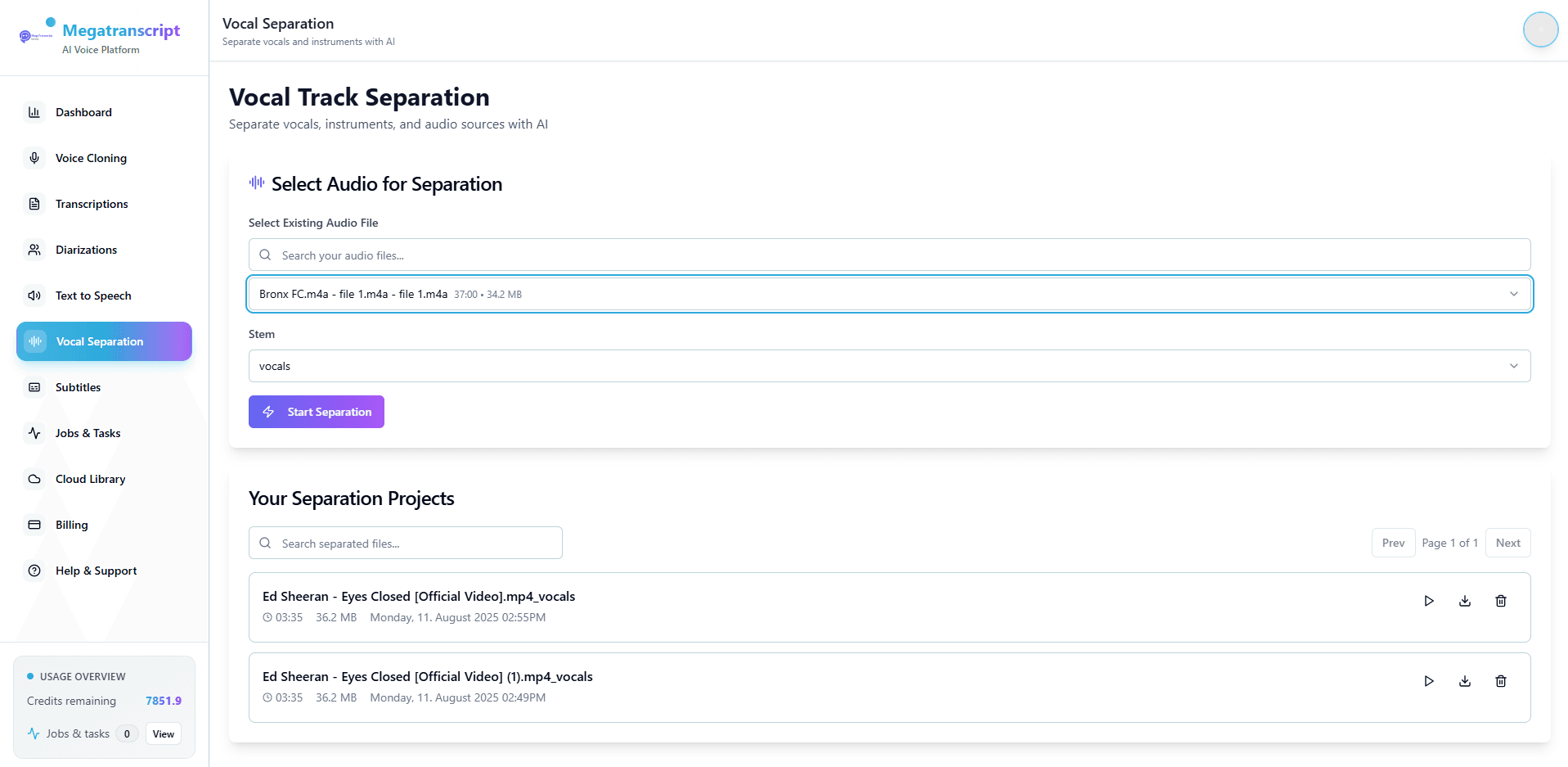 MegaTranscript AI Voice Studio